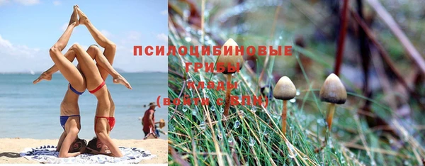 каннабис Арсеньев