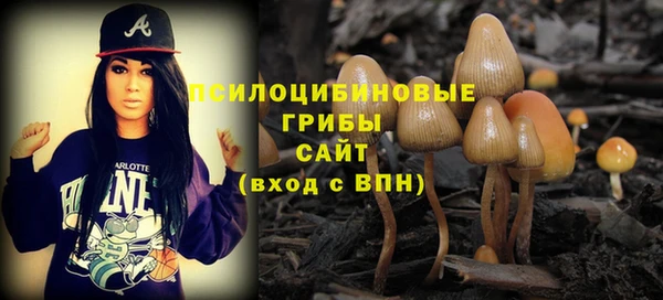 spice Армянск