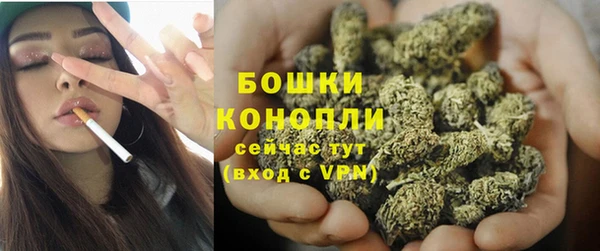 СК Аркадак